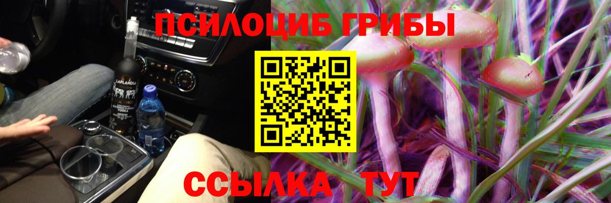 Псилоцибиновые грибы Psilocybine cubensis  Вход с VPN  Псилоцибиновые грибы мухоморы  Сочи 